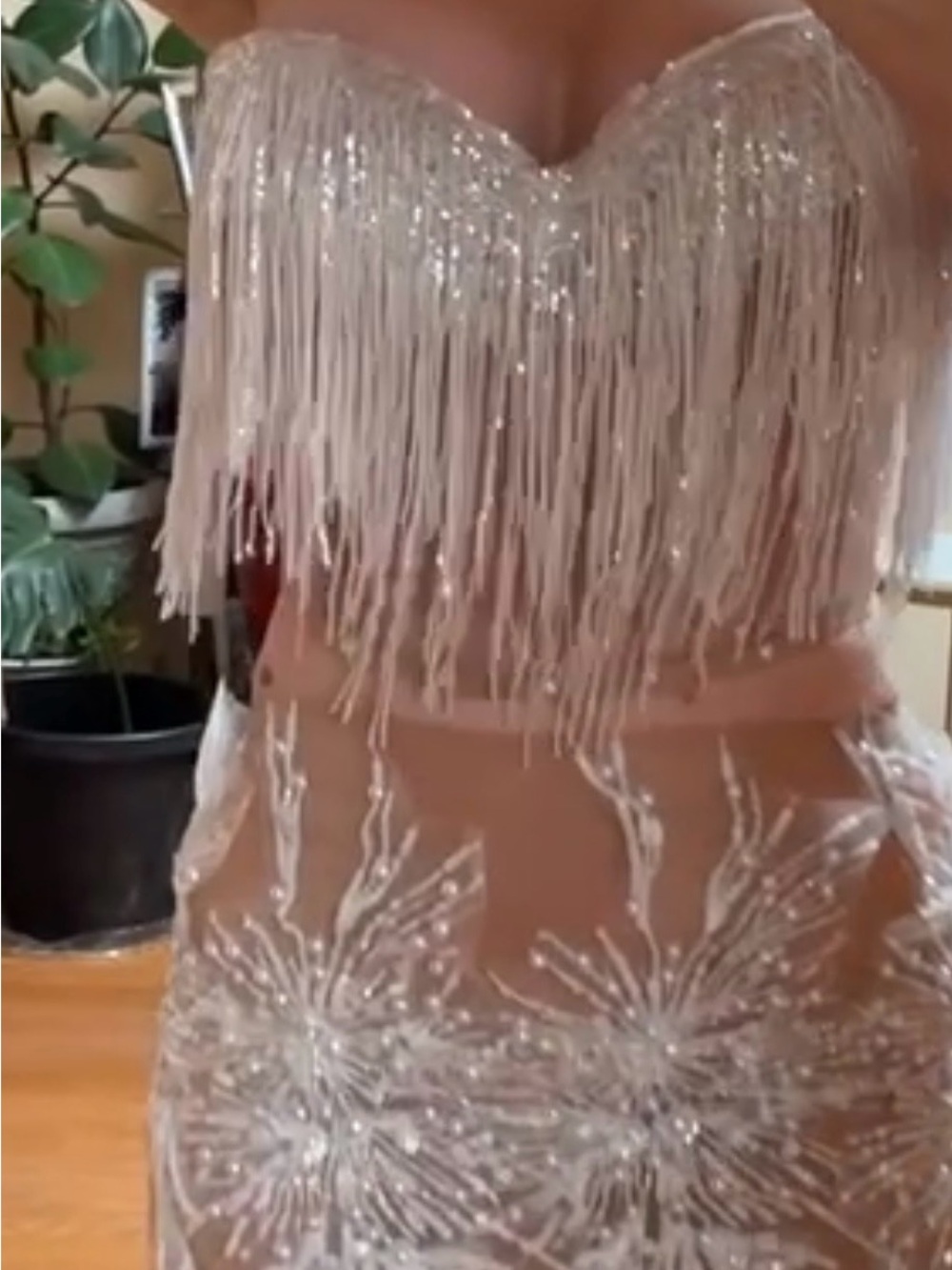 Diva Nude Sheer Fringe Beaded Skirt Set